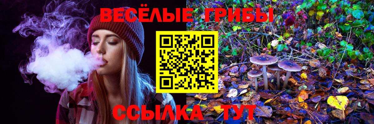 Черняховск  Псилоцибиновые грибы ЛСД  Псилоцибиновые грибы Psilocybe  магазин  наркотиков  Вход с VPN 
